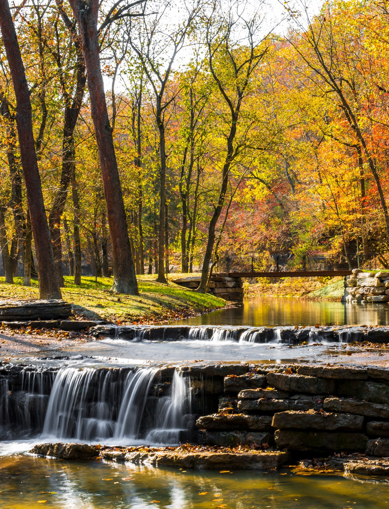 When Do the Leaves Change Near Eagle Rock & Eureka Springs?